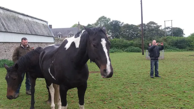 Little Swinton Properties