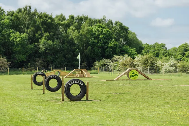 Unleash the Dogs - Uddingston Dog Fields