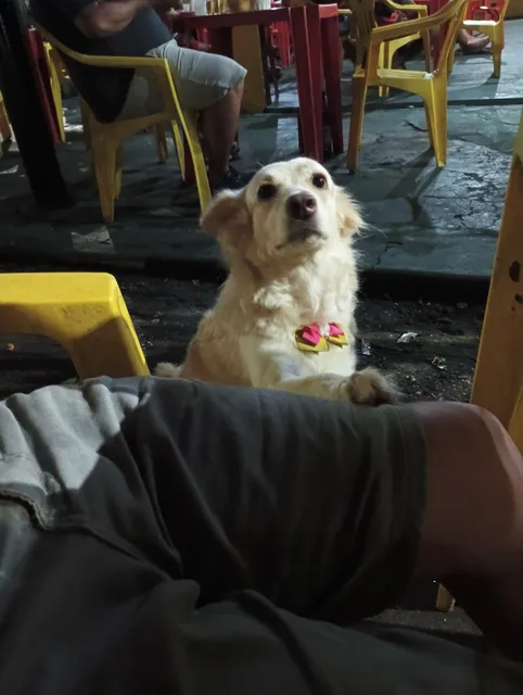 Ney Drinks. Bar E Restaurante.