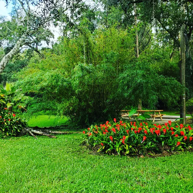 Lotus Pond Center for Yoga and Health