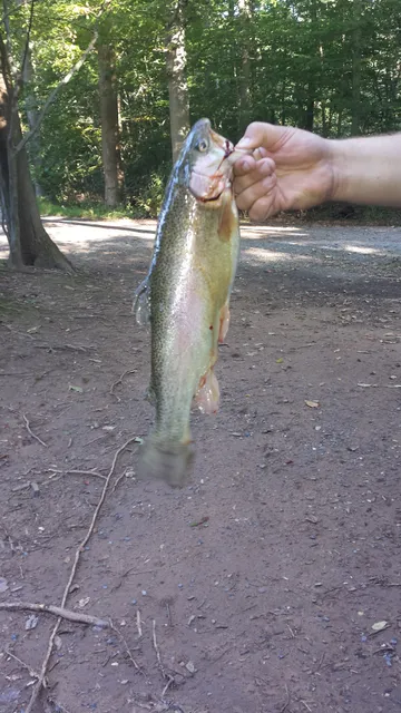 Marysville Sportsmen's Assoc. Grounds