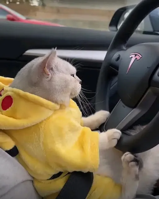 Nasi Goreng Surabaya 88