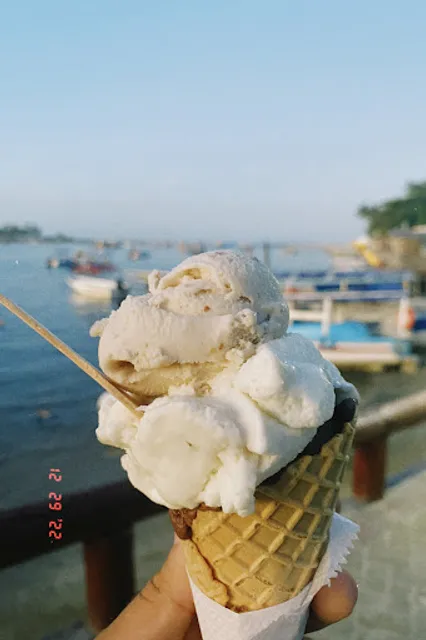 Casa Porto / Picolé da Ilha