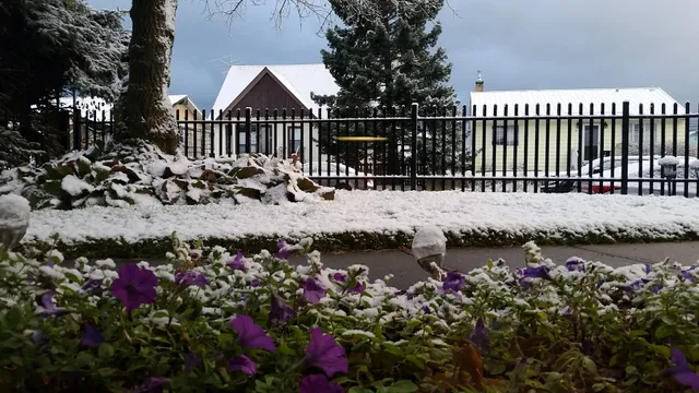 Dave & Honey's Accommodation