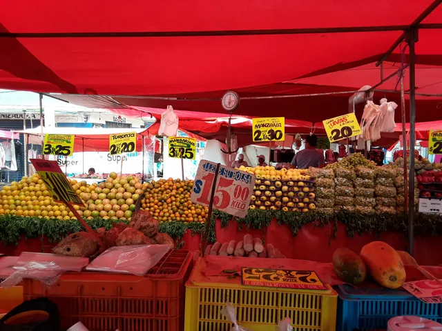 Tianguis San Felipe Paca