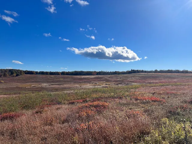 Big Meadows Ranger Station