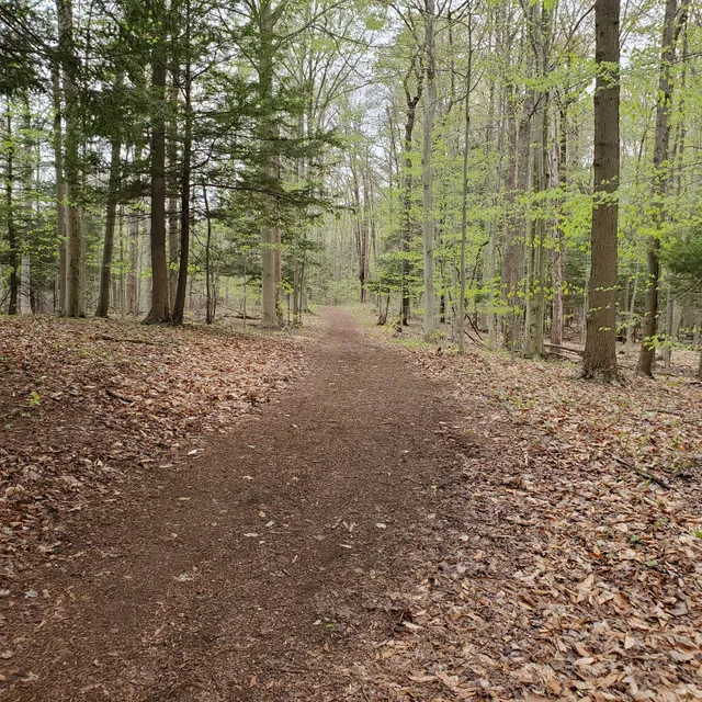 Onondaga Trail
