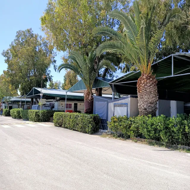 Camping Les Palmeres