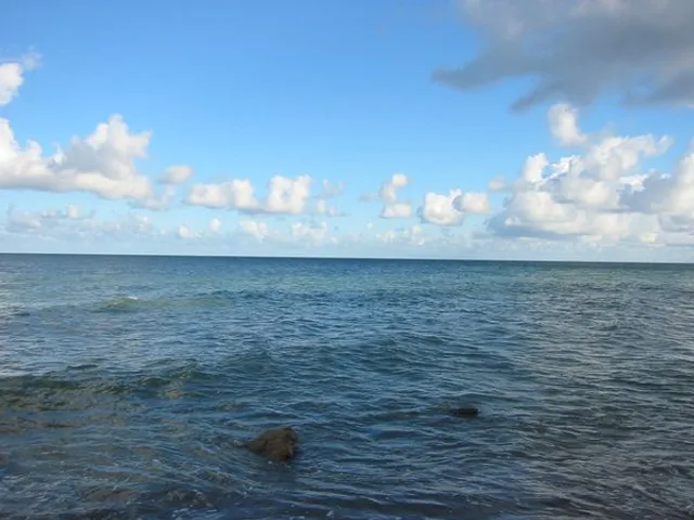 reprimand and sea - DÜNENHAUS Sellin. Apartments