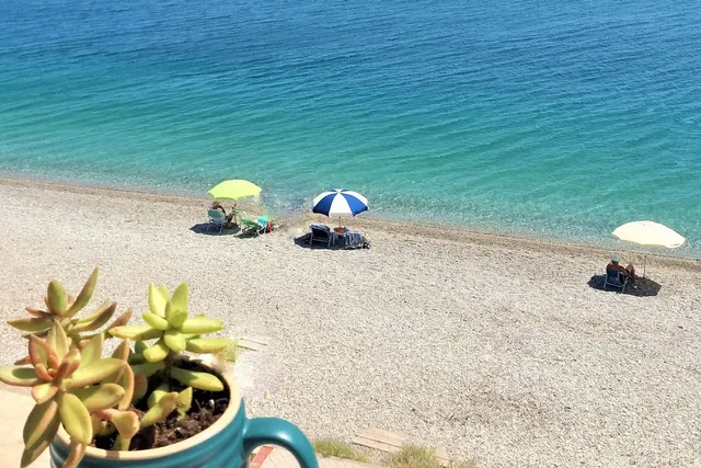 Mondo Cosseri Akrata