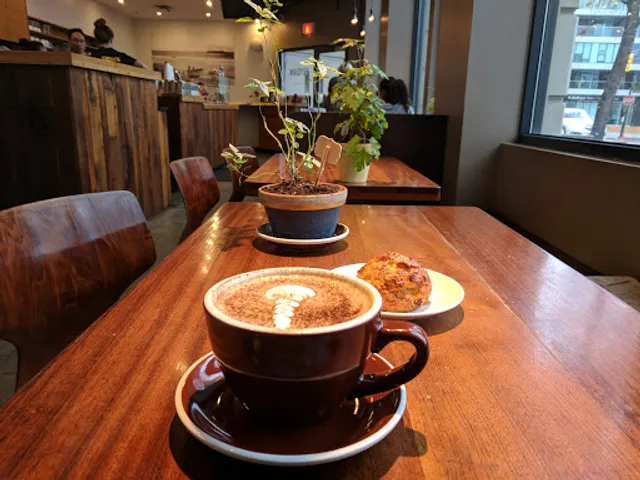 Elysian Coffee - Fifth & Burrard