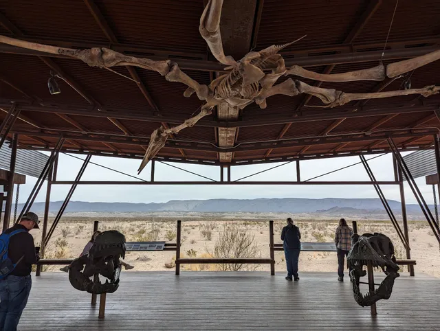 Fossil Discovery Exhibit