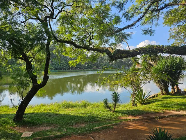 Parque Ibirapuera - Portões 1 e 2