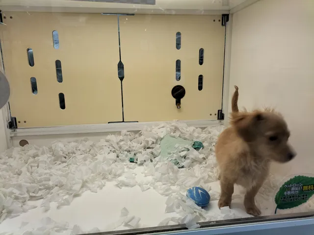 Pettoshoppu Inunoie & Nekonosato Suitaten