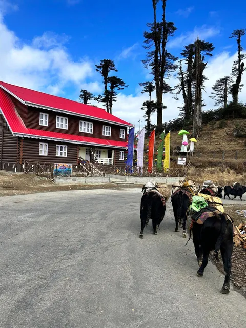 Mandala Abode homestay