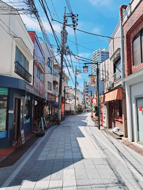 Yakushi Airoad Shopping Street