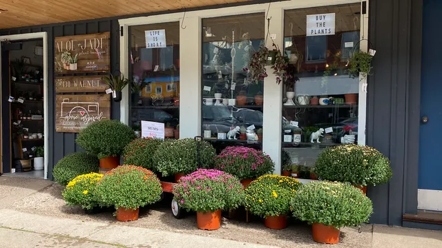 Aloe & Jade Plant Boutique