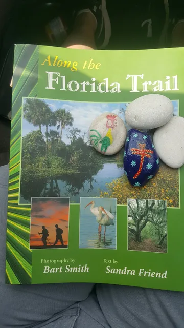 Council On Culture & Arts