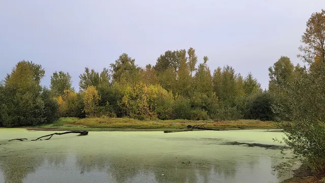 E.E. Wilson Wildlife Area - Oregon Department of Fish and Wildlife