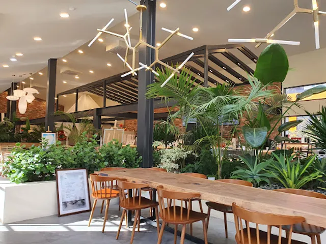 Dongison Mandu Dumplings