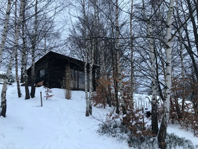 Mellodge Trees House