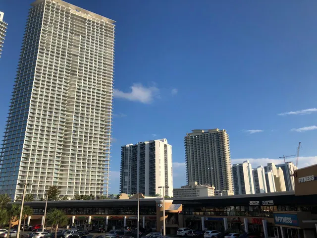 MILA International Language Academy - Miami