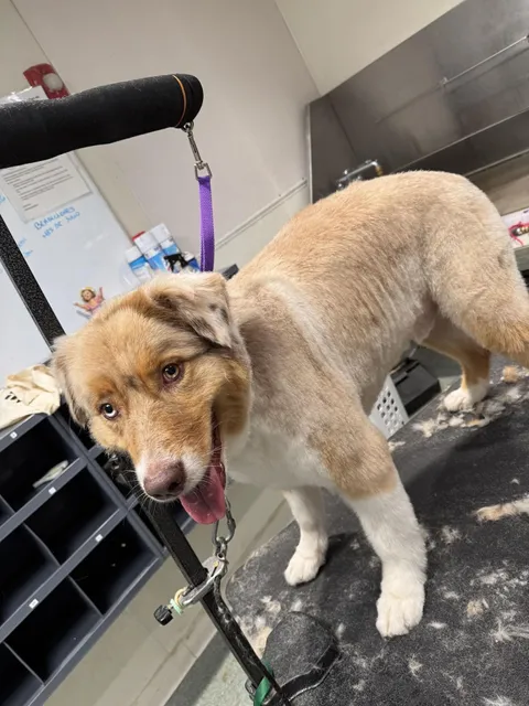 pupculture West 57th