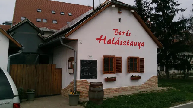 Bodri Bor és Halásztanya