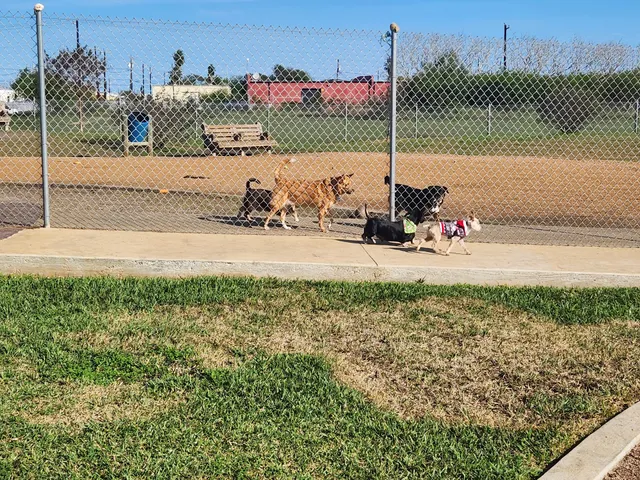 Bill Witt Dog Park