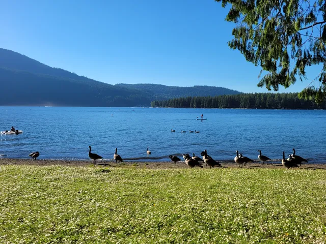 Cultus Lake Provincial Park Picnic Area