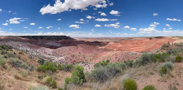 Petrified Forest National Park