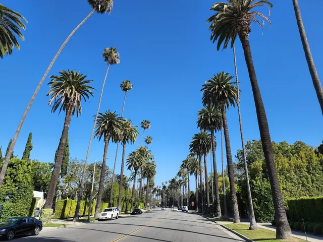 Hollywood City Tours