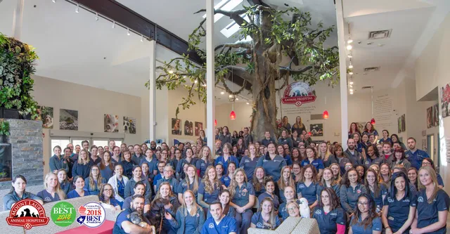 Mount Laurel Animal Hospital