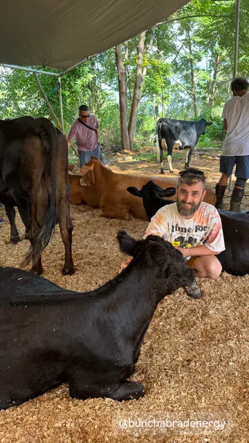 Krishna Cow Sanctuary