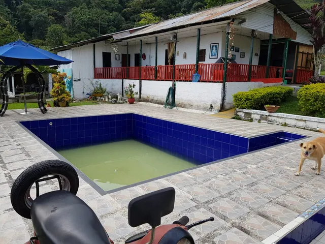 Finca la margarita vereda la reina