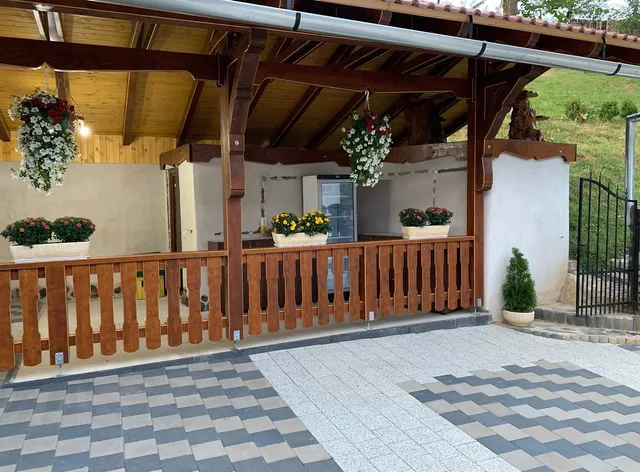 Pensiunea Hanzu Darius