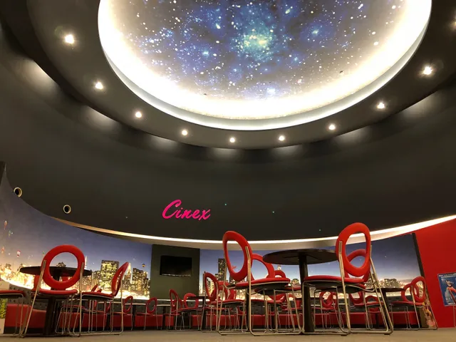 シネックス マーゴ