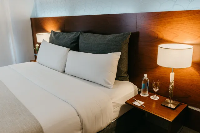 Rochester Hotel Concept