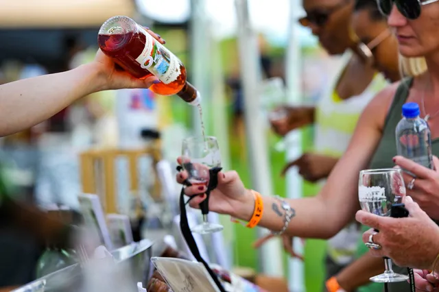 Adirondack Wine & Food Fest...