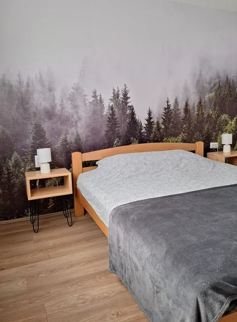 Apartmani Vlasina Sokobanja
