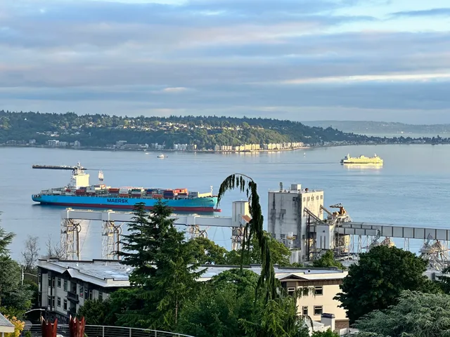 Betty Bowen Viewpoint