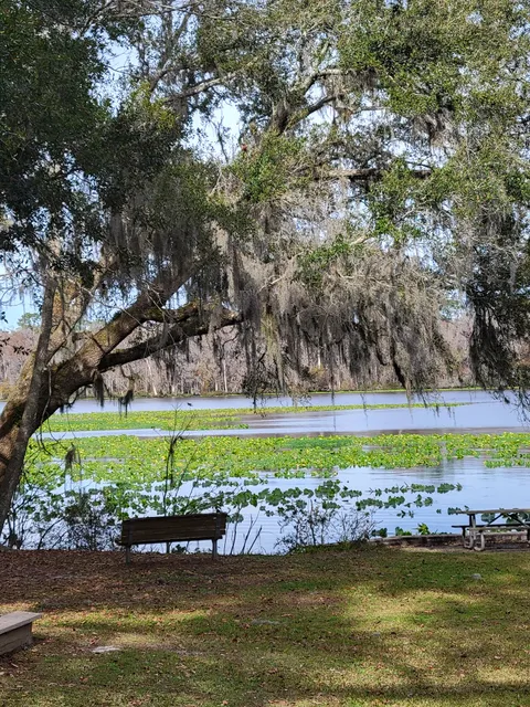eBird Hotspot: Camp Chowenwaw