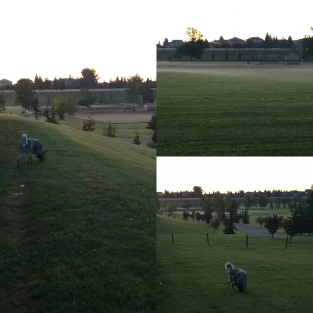 Bow Bottom baseball fields