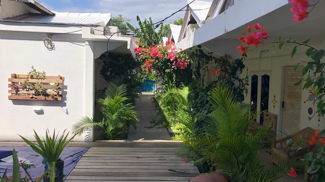 Tipsea Turtle Gili Trawangan