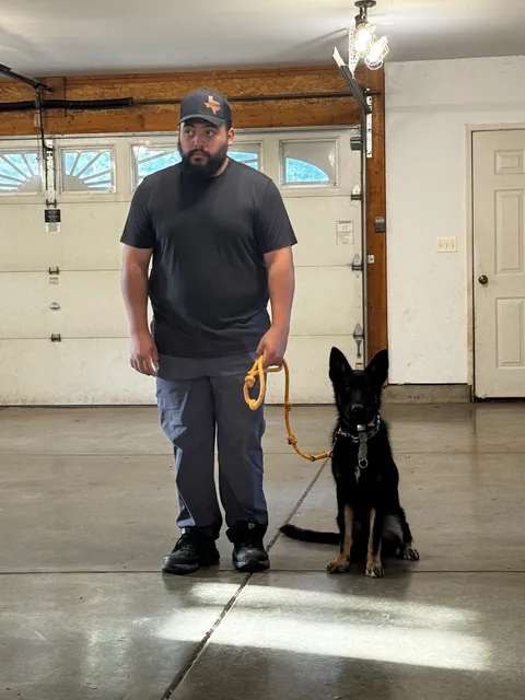 Sonya's Good Dog Services LLC