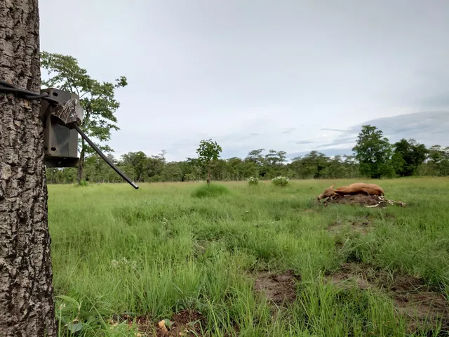 Lumphat Wildlife Sanctuary