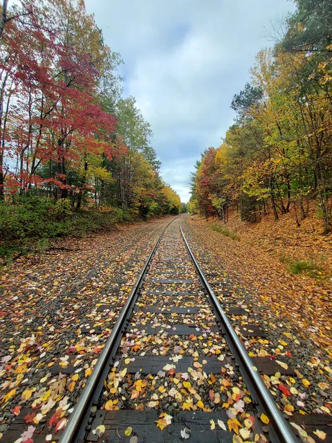 Kane Lumber & Fuel Co. True Value