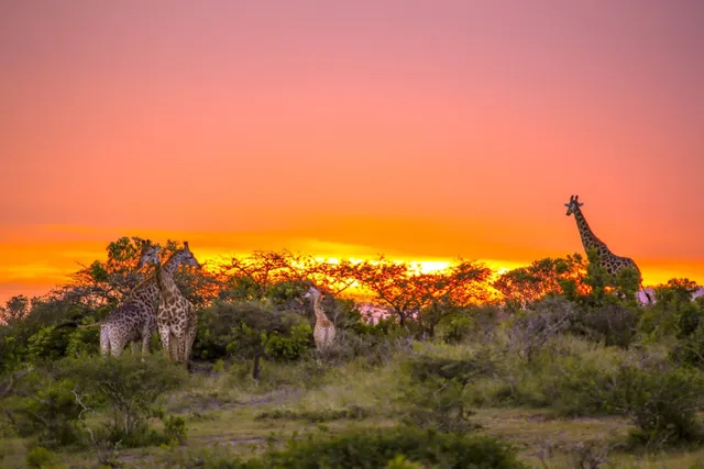Thula Thula Private Game Reserve