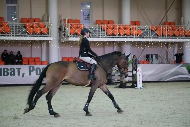 Konnyy Magazin Khvost I Griva