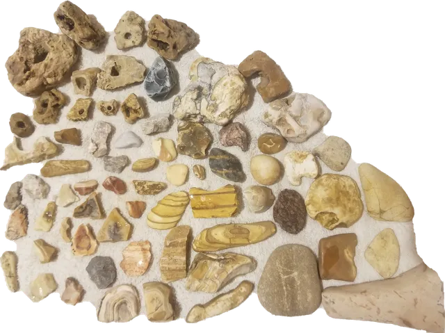 Sale Barn out side flea market